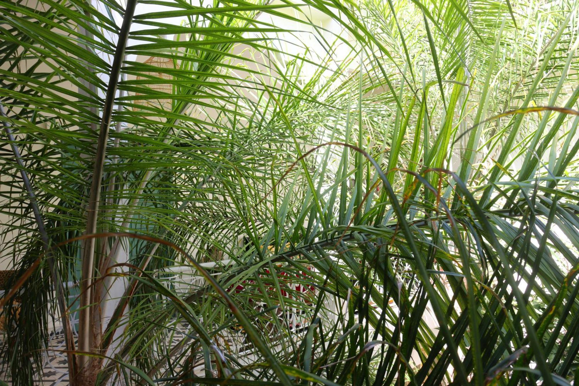 Riad Naanaa Bed & Breakfast Marrákes Kültér fotó