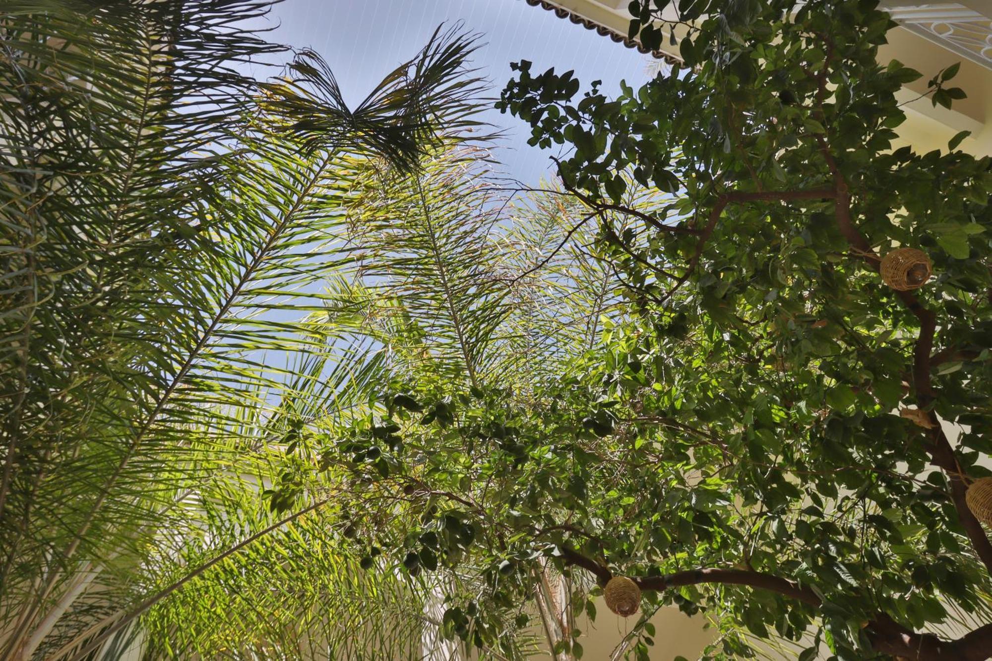 Riad Naanaa Bed & Breakfast Marrákes Kültér fotó